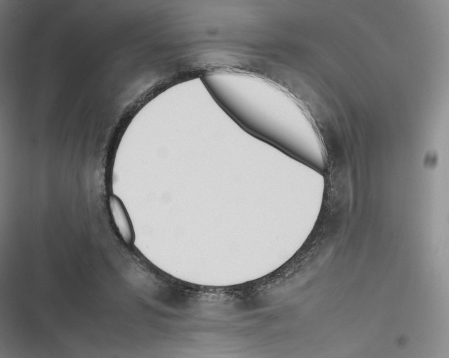 X0000116290399201001111101