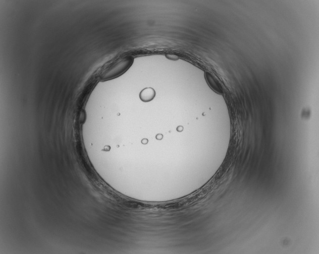 X0000116290400201001111101