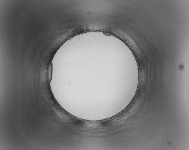 X0000116290401201001111101