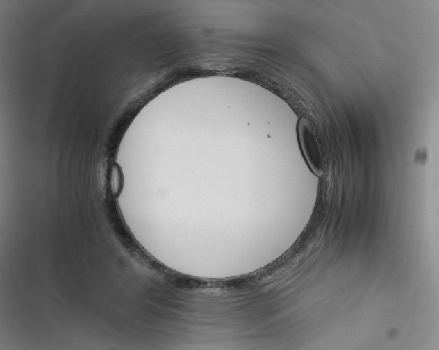 X0000116290404201001111101