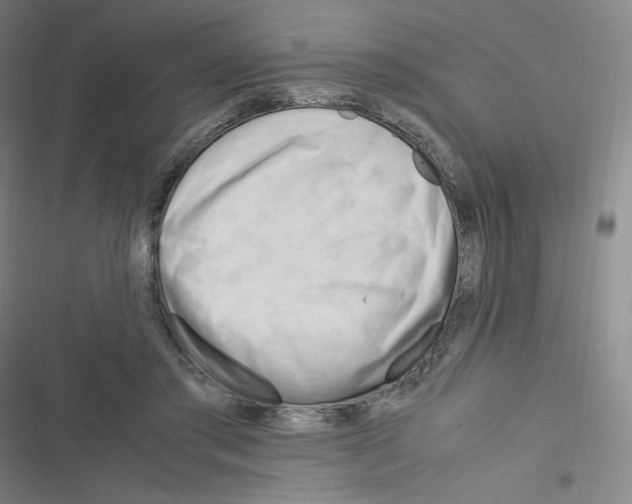 X0000116290405201001111101