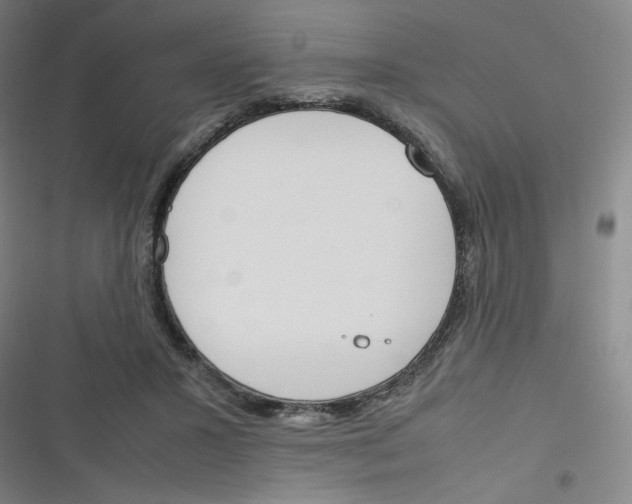 X0000116290407201001111101