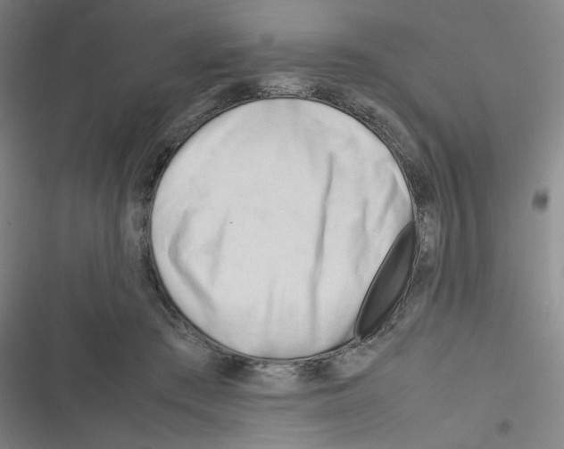 X0000116290409201001111101