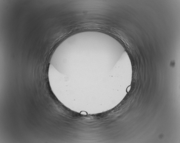 X0000116290411201001111100