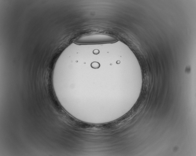 X0000116290412201001111100