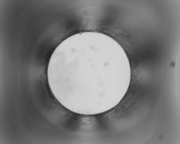 X0000116290415201001111100