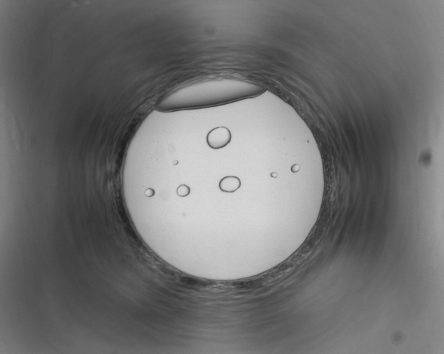 X0000116290420201001111100