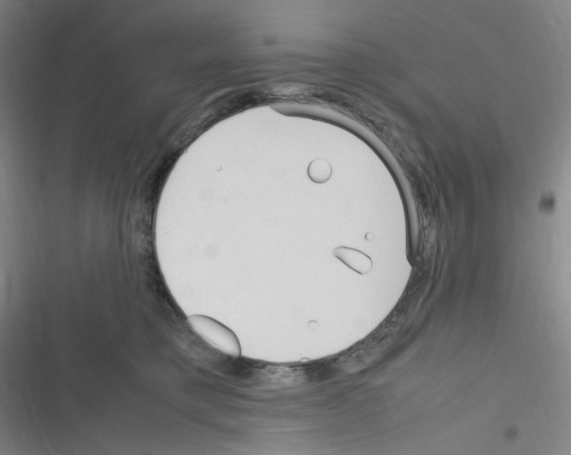 X0000116290421201001111100