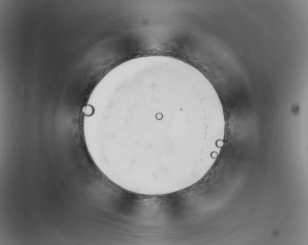 X0000116290423201001111100