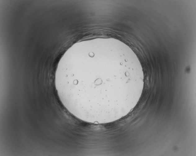 X0000116290424201001111100