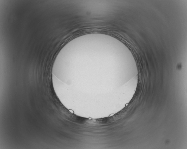 X0000116290425201001111100