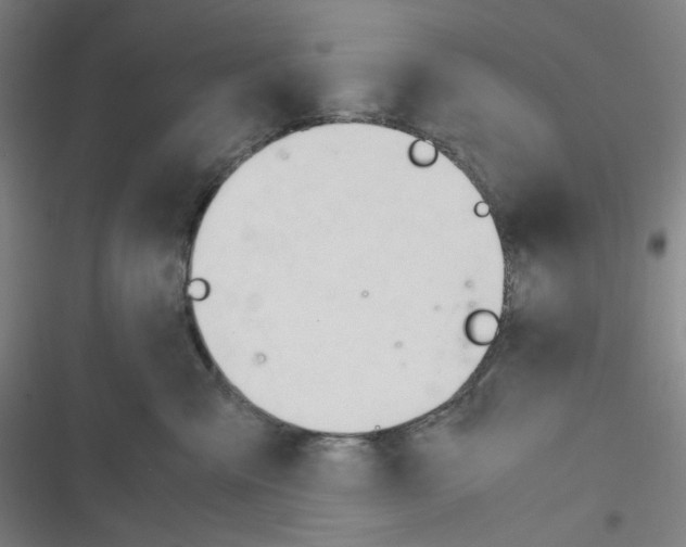 X0000116290427201001111100