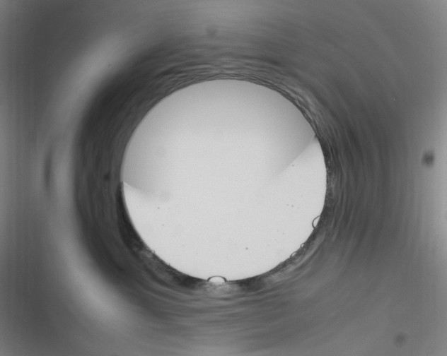 X0000116290429201001111100