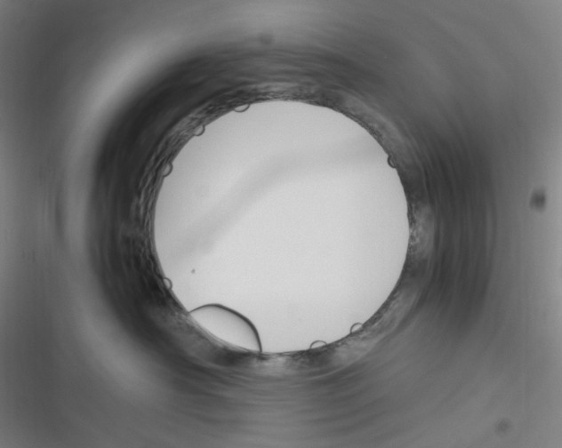 X0000116290430201001111100