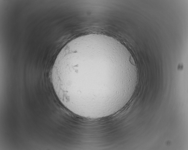 X0000116290432201001111100