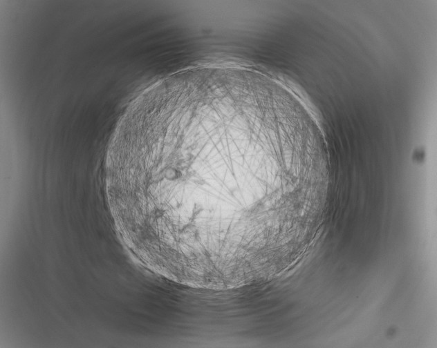 X0000116290433201001111100