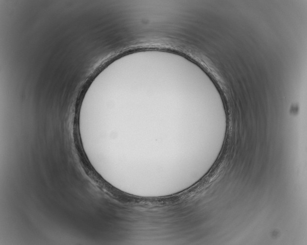 X0000116290434201001111100