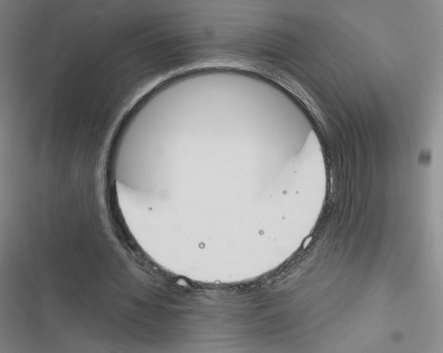 X0000116290436201001111100