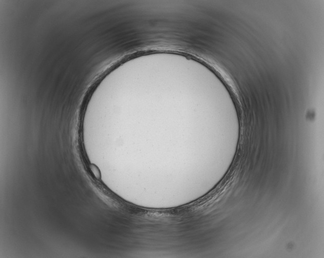 X0000116290437201001111100