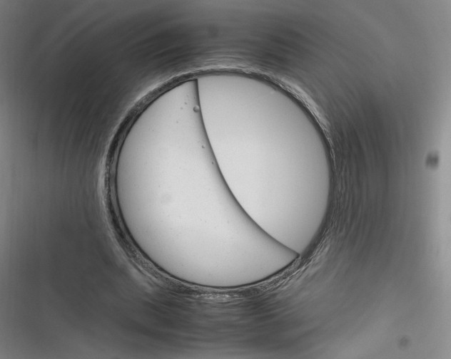 X0000116290439201001111100