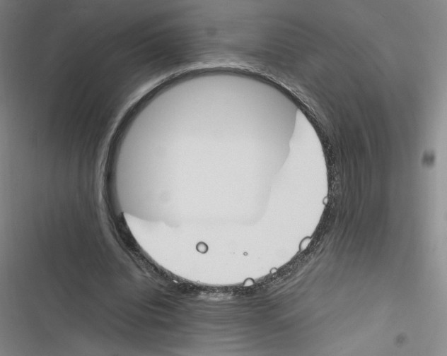 X0000116290440201001111100