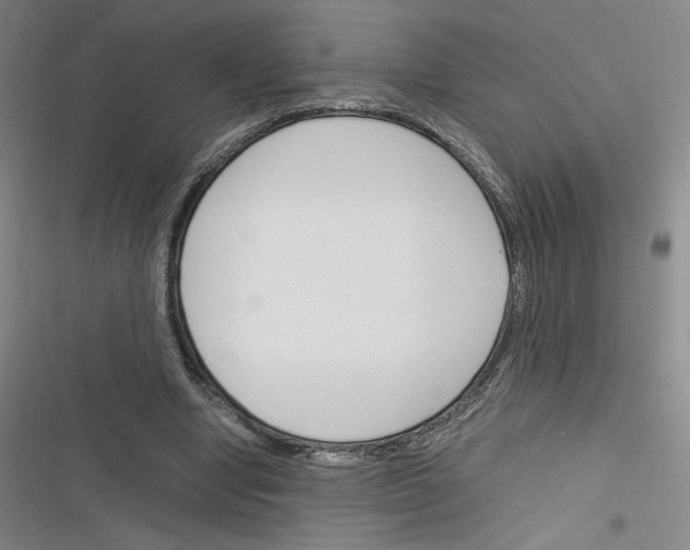 X0000116290442201001111100