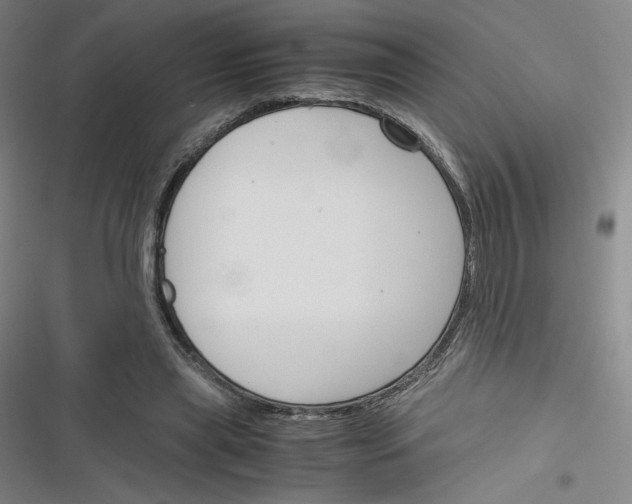 X0000116290445201001111100