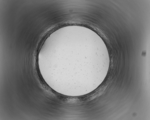 X0000116290446201001111100