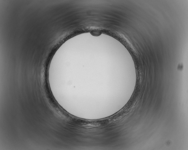 X0000116290447201001111100