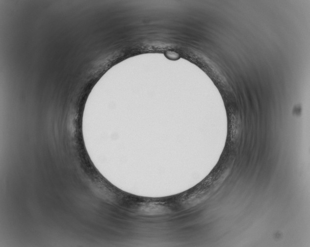 X0000116290451201001111100