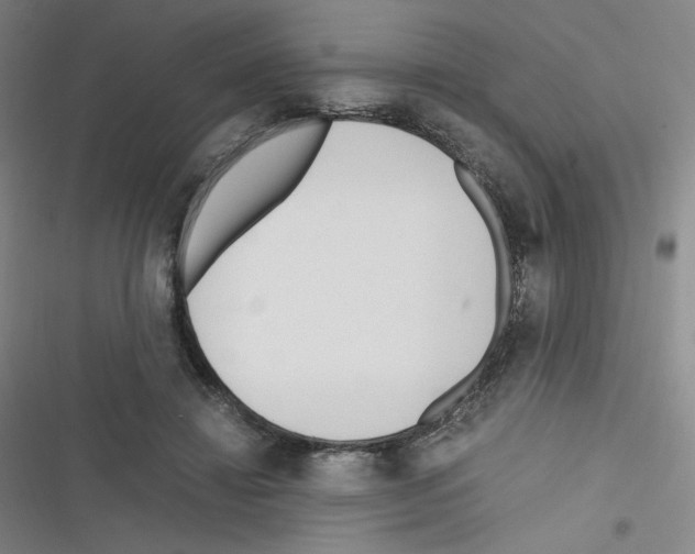 X0000116290452201001111100