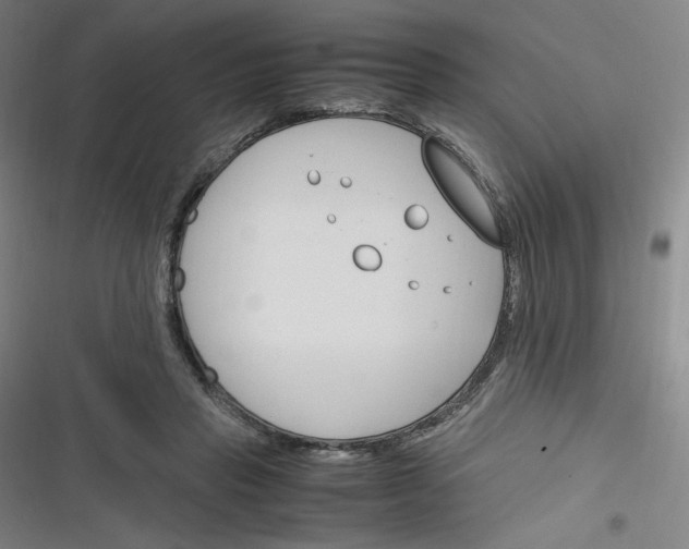 X0000116290453201001111100