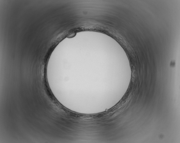 X0000116290454201001111100