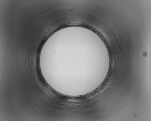 X0000116290455201001111100