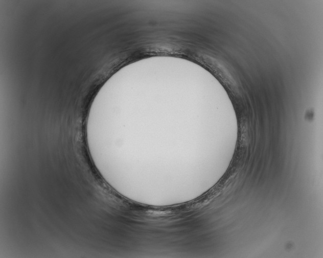 X0000116290457201001111100