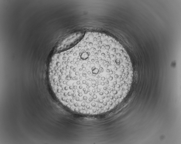 X0000116290458201001111100