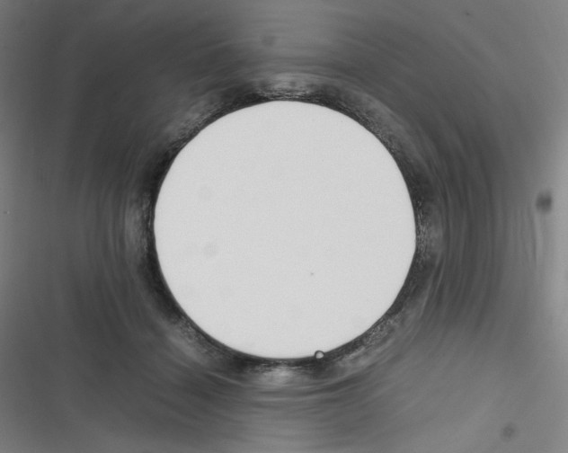 X0000116290460201001111100