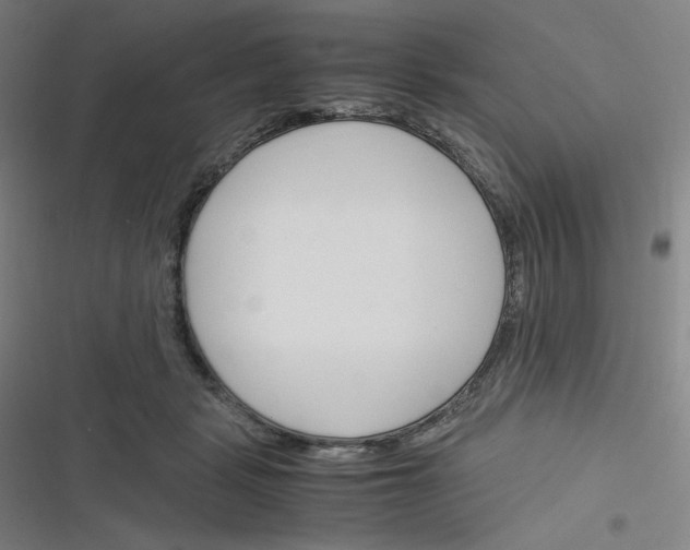 X0000116290461201001111100