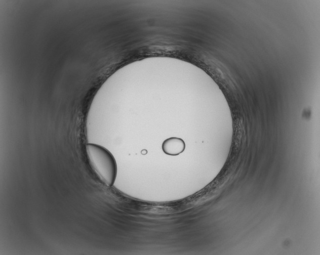 X0000116290463201001111100