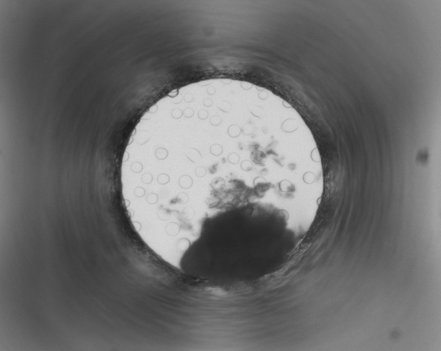 X0000116290464201001111100