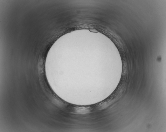 X0000116290465201001111100