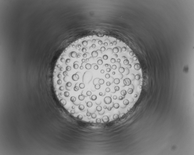 X0000116290466201001111100