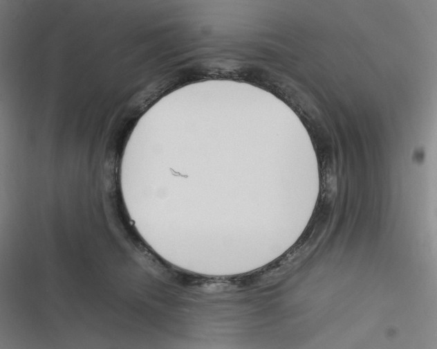 X0000116290468201001111100