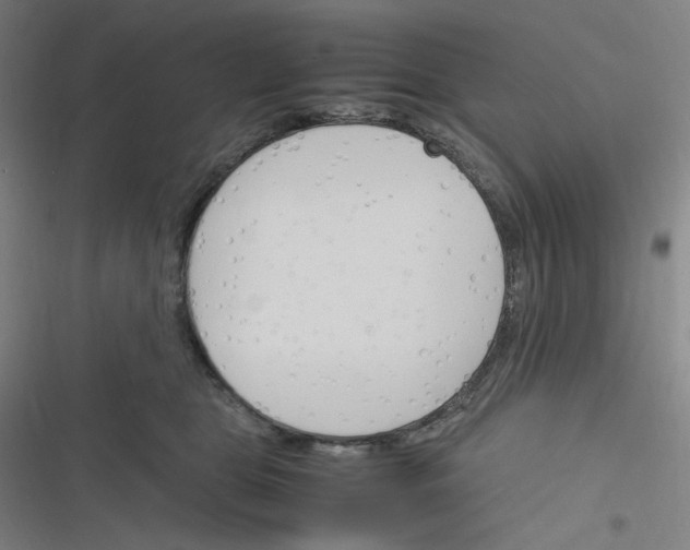 X0000116290469201001111100