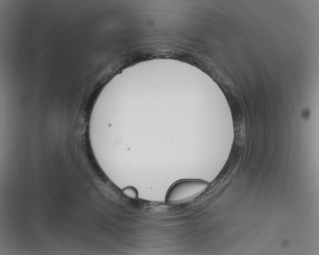 X0000116290472201001111100