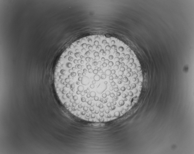 X0000116290474201001111100