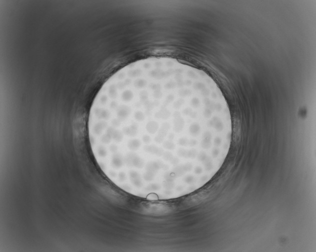 X0000116290475201001111100