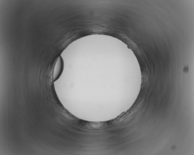 X0000116290479201001111100