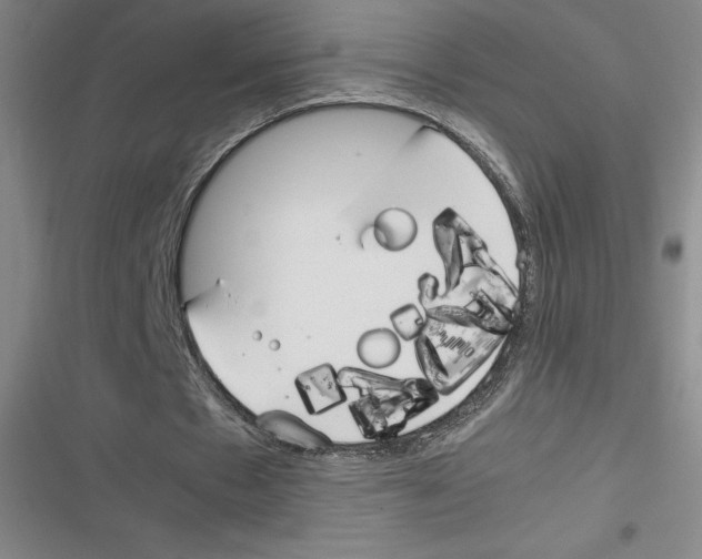 X0000116290481201001111100