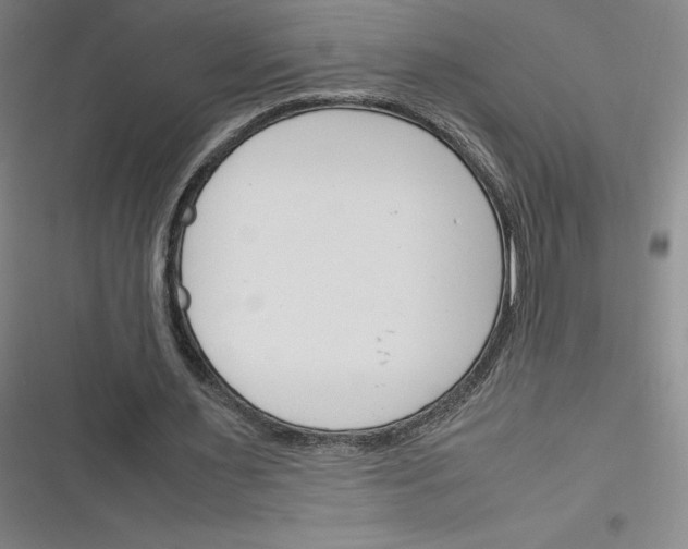 X0000116290483201001111100